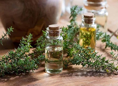 تصویر 4 از قیمت عرق آویشن شیرازی + خرید باور نکردنی